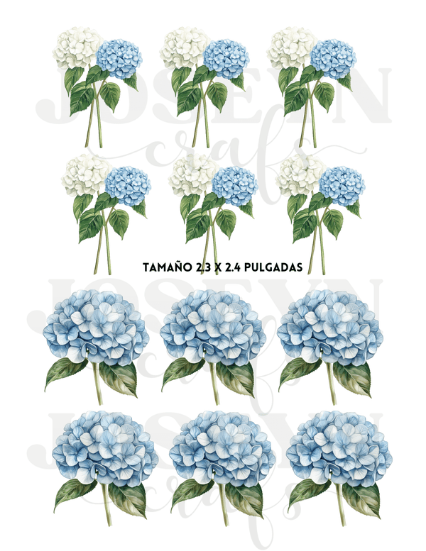 Calcomanias al Agua Hortencias Flor