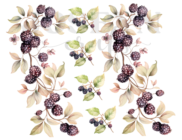 Calcomania Textil Blackberries