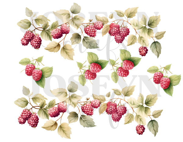 Calcomania Textil Berry Sweet