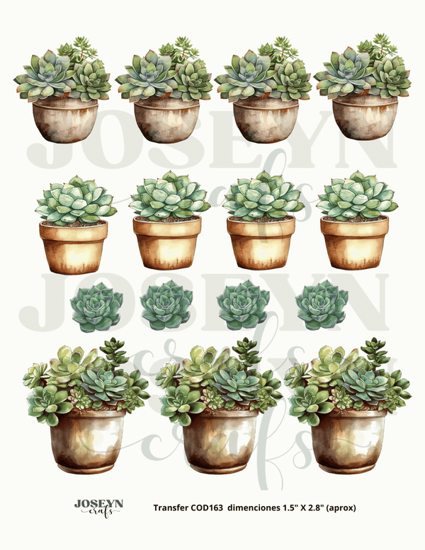 Calcomanía hidrotransferible – Cactus01– Código162