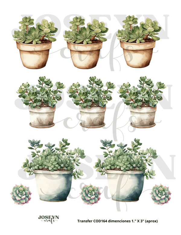 Calcomanía hidrotransferible – Cactus02– Código163