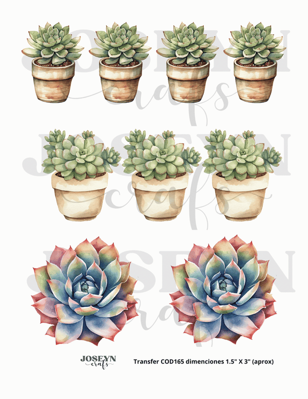 Calcomanía hidrotransferible – Cactus03– Código165