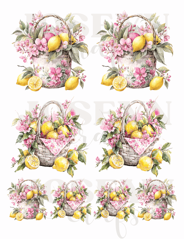 Calcomanias al Agua Canastas de Limones