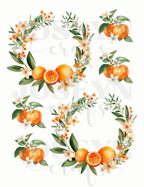 Calcomanias al Agua Coronas de Naranjas