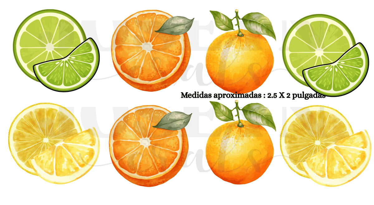 Calcomanias Naranjas y Limones
