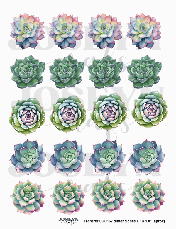 Calcomanía hidrotransferible – Cactus05– Código167