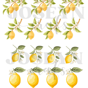 Calcomanía hidrotransferible – Limones– Código169