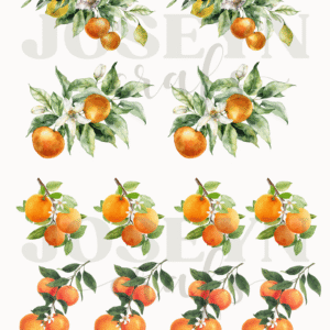 Calcomanía hidrotransferible – Naranjas– Código170