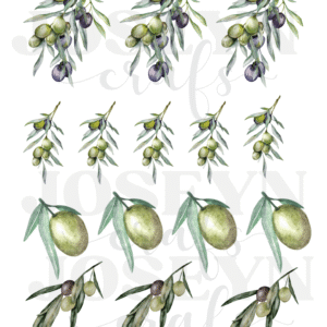 Calcomanía hidrotransferible – aceitunas Código158
