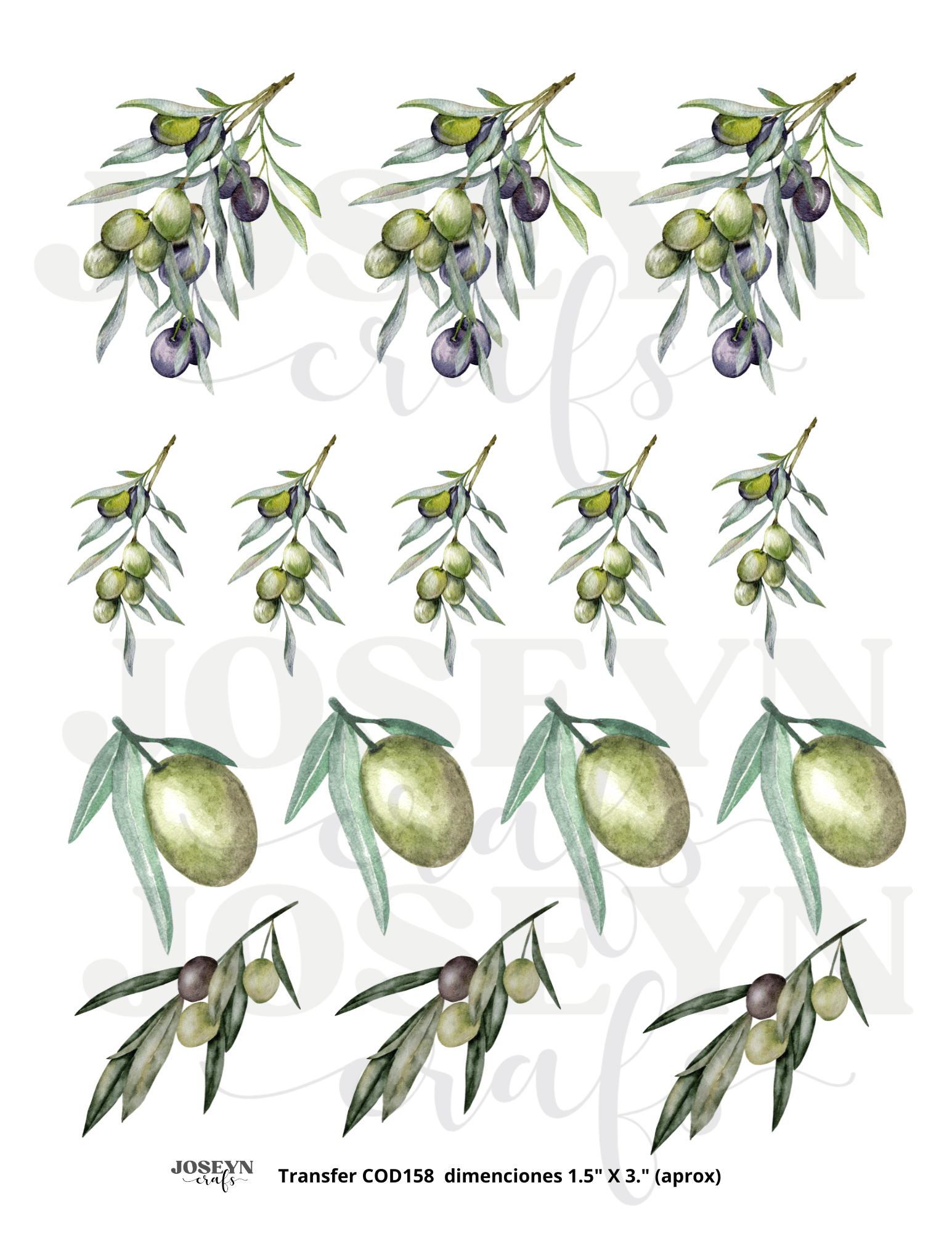Calcomanía hidrotransferible – aceitunas Código158