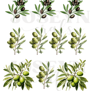 Calcomanía hidrotransferible – Aceitunas– Código157