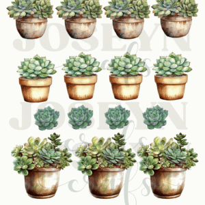 Calcomanía hidrotransferible – Cactus01– Código162