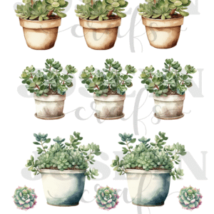 Calcomanía hidrotransferible – Cactus02– Código163