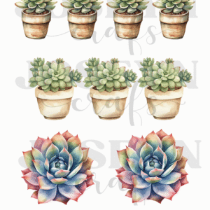 Calcomanía hidrotransferible – Cactus03– Código165