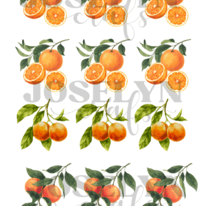 Calcomania Hidrotransferible-Naranjas Código 150