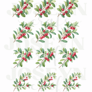 Calcomanía hidrotransferible – Follaje– Código200