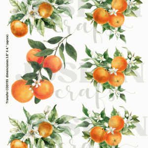 Calcomanía hidrotransferible – Naranjas Código193