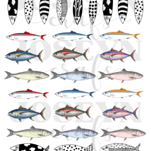 Calcomanía hidrotransferible – Peces Marino-Código227