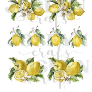 Calcomanía hidrotransferible – Pera– Código172