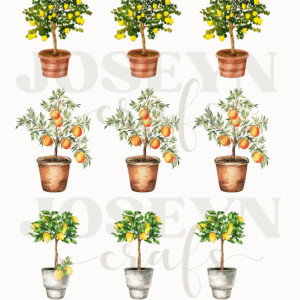 Calcomanía hidrotransferible – Topiario– Código155