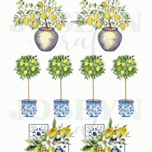 Calcomanía hidrotransferible – Topiario Limones– Código156