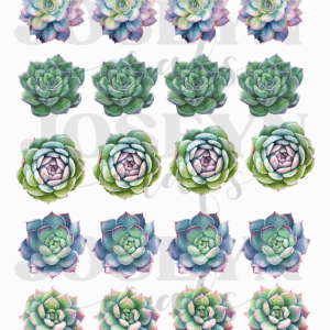 Calcomanía hidrotransferible – Cactus05– Código167