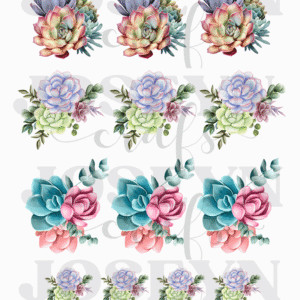 Calcomanía hidrotransferible – Cactus04– Código166