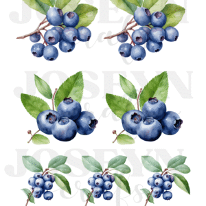 Calcomanía hidrotransferible – Arándano– Código162