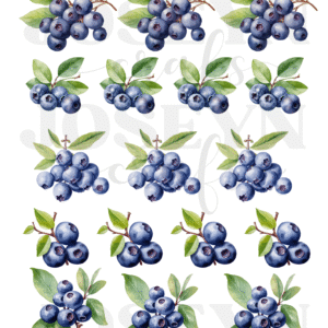 Calcomanía hidrotransferible – Blueberry– Código161