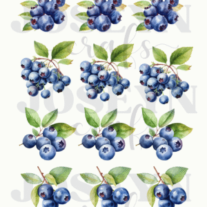 Calcomanía hidrotransferible – Moras Código196