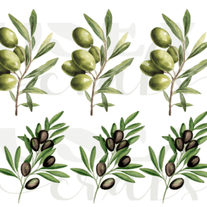 Calcomanias Aceitunas en UV-Dtf