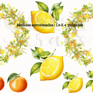 Calcomanias Corona de Naranjas